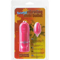 Powerful Mini Bullet Vibrator
