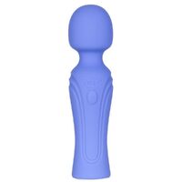 Swan Era Massage Wand