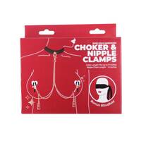 Punishment Rose Gold Choker and Nipple Clamps