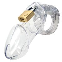 Cb 6000 Chastity Cage