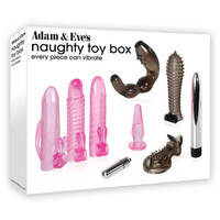 Naughty Toy Box Couples Vibrator Kit