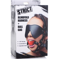 Blindfold + Ball Gag Combo Kit