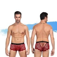 Ashella Lingerie Mica Boxer Brief L/XL