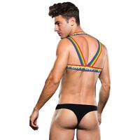 Rainbow Harness M/L