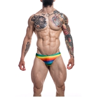 Low Rise Bikini Brief L