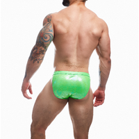 Emerald Clip Tanga Brief XL