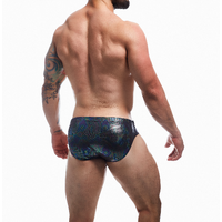 Emerald Swimwear Brief M