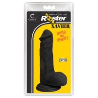 Rooster Xavier Midnight