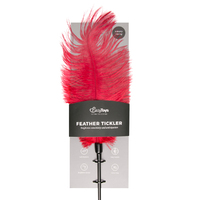 Feather Tickler