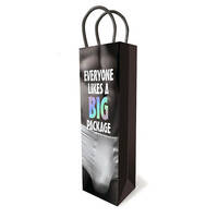 Big Package Gift Bag