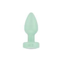 Pr17: Vibrating Plug W/ Remote