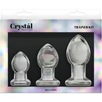 Glass Anal Training Kit