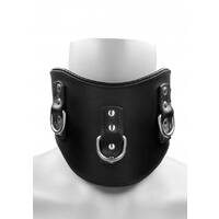 Heavy Duty Padded Posture Collar