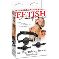 Ball Gag Training System