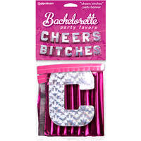 Cheers Bitches Party Banner