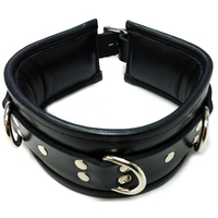 Padded Leather Collar Padded Leather Collar