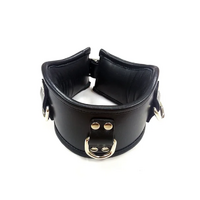 Leather Posture Collar