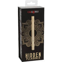 Hidden Pleasures Bullet Vibrator