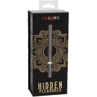 Hidden Pleasures Bullet Vibrator