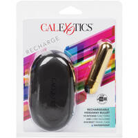 Hideaway Bullet Vibrator