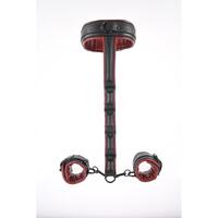 Saffron Neck And Wrist Restraint