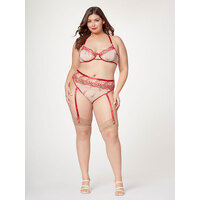 Sheer Elegance Two Piece Bra Set 1X/2X Sheer Elegance Two Piece Bra Set 1X/2X