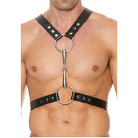 Harness With Metal Bit