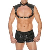 Leather Harness + Neck Collar Leather Harness + Neck Collar