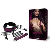 Whipsmart Dragons Lair Collar Leash & Nipple Clips Set / Restraints