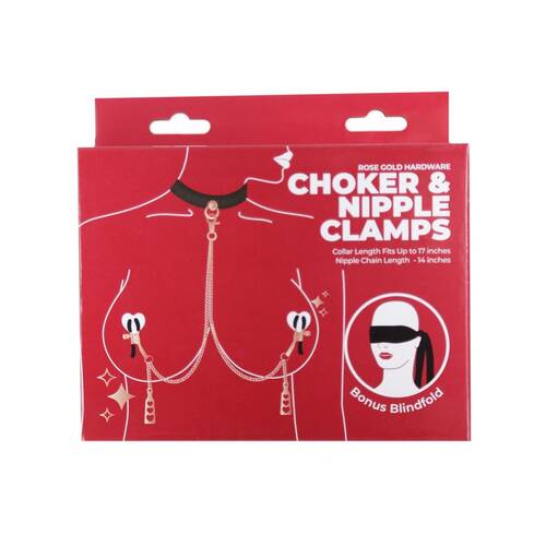 Punishment Rose Gold Choker and Nipple Clamps