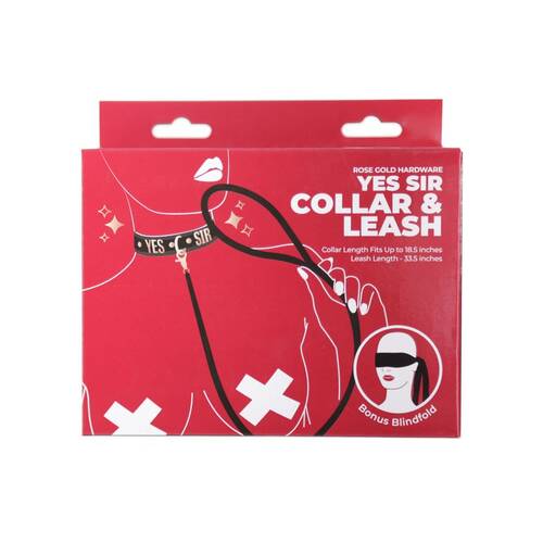 Punishment Rose Gold Yes Sir Collar and Leash