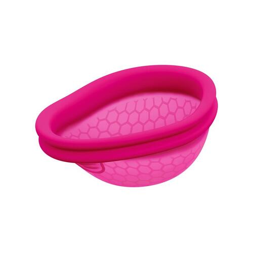 Ziggy Cup 2 Size B