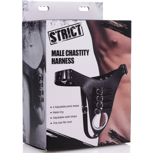 Male Chastity Harness