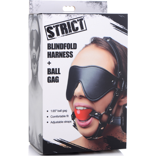 Blindfold Harness + Ball Gag