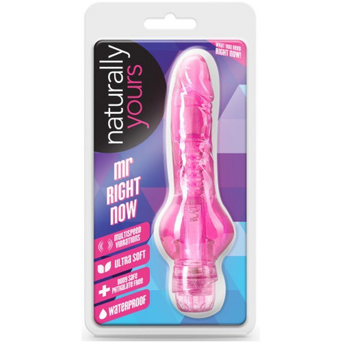 Mr. Right Now Classic Vibrator