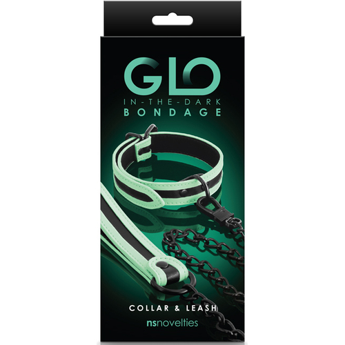 Glowing Collar and Leash