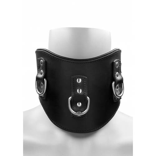 Heavy Duty Padded Posture Collar