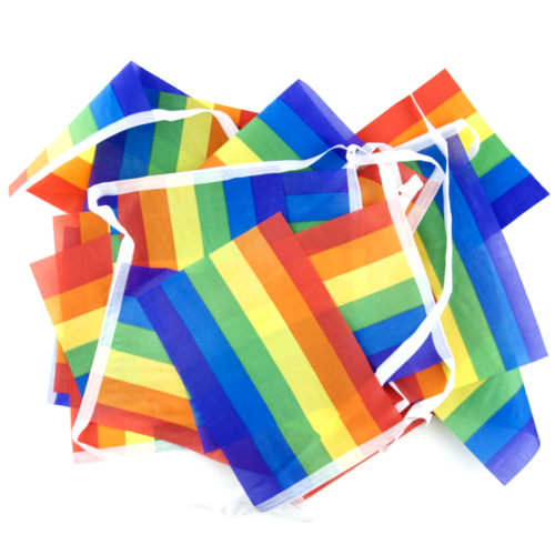 Rainbow Gay Pride Bunting 9m