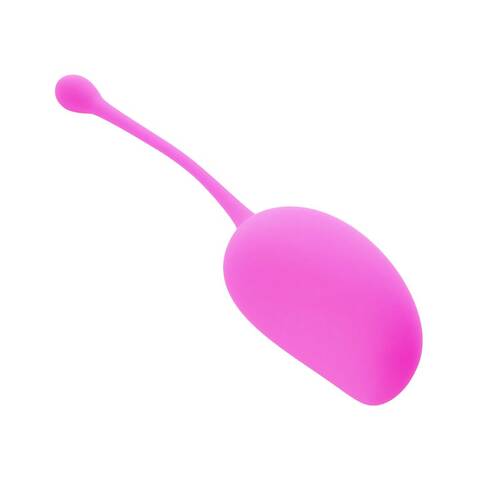 Sincerely Kegel Exercise System - 3 pack