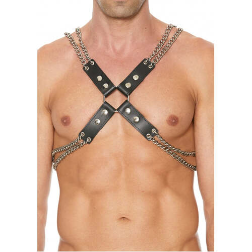 Chain And Chain Harness