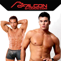 Falcon has landed at Naughty Boy!